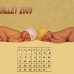 2009 Baby Calendar 15 Photos Izismile