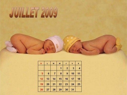 2009 Baby Calendar 15 Photos Izismile