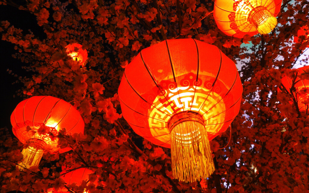 2019 China Traditional Festival Chinese New Year Lantern Preview 