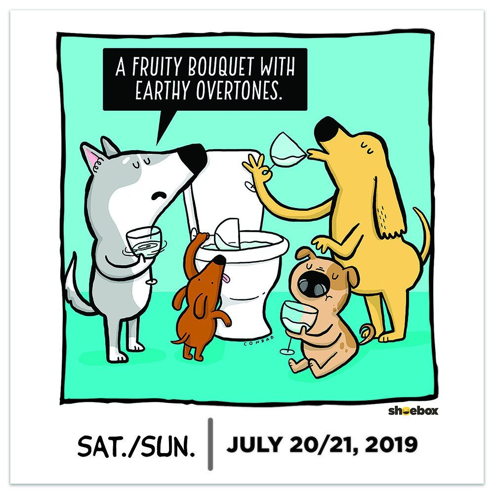2019 Shoebox Humor Daily Desk Calendar Calendar Day To Day Calendar