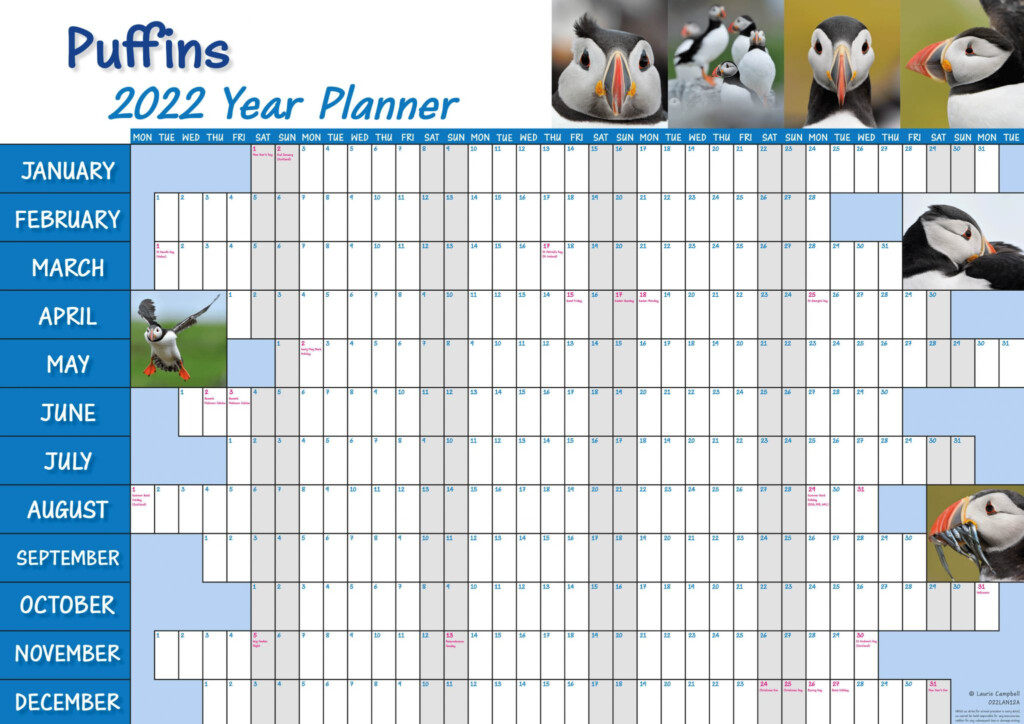 2022 Puffins Landscape Calendar Wall Planner Island Blue