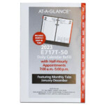 2023 At A Glance E717T 50 Daily Calendar Refill With Monthly Tabs 3 1