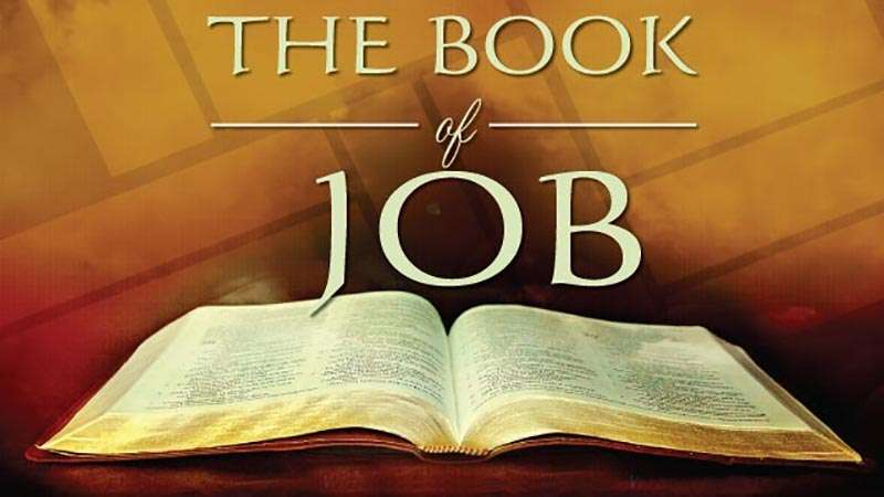 7 Week Bible Discussion For Daily Living On Job Begins March 5 7 Drop 