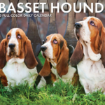 Basset Hounds Box Calendar 2023 Willow Creek Animalden