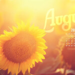 Beautiful August Desktop Mobile Wallpaper Free Backgrounds