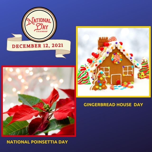 December 12 2021 Gingerbread House Day National Poinsettia Day