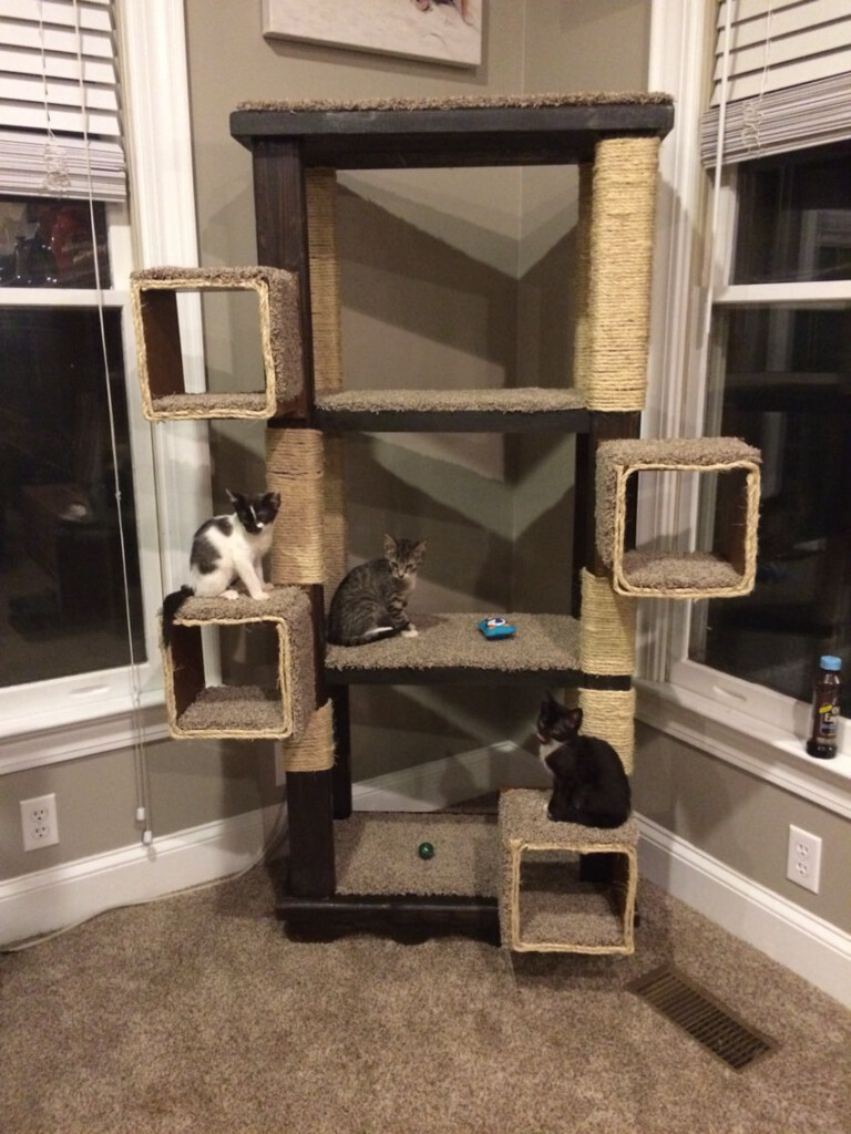 DIY Cat Tree From Old Shelving Unit And Box Shelves Diy Cat Tree Box 