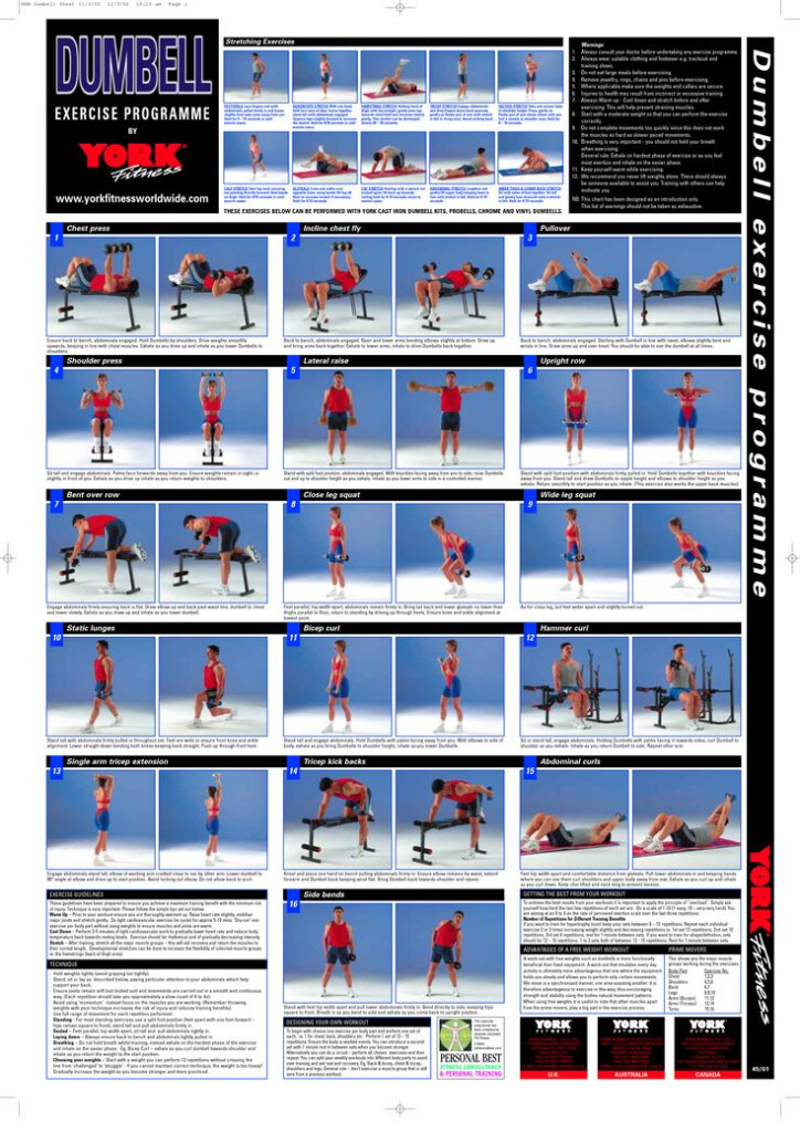 Dumbbell Workout Plan Dumbell Workout Workout Chart