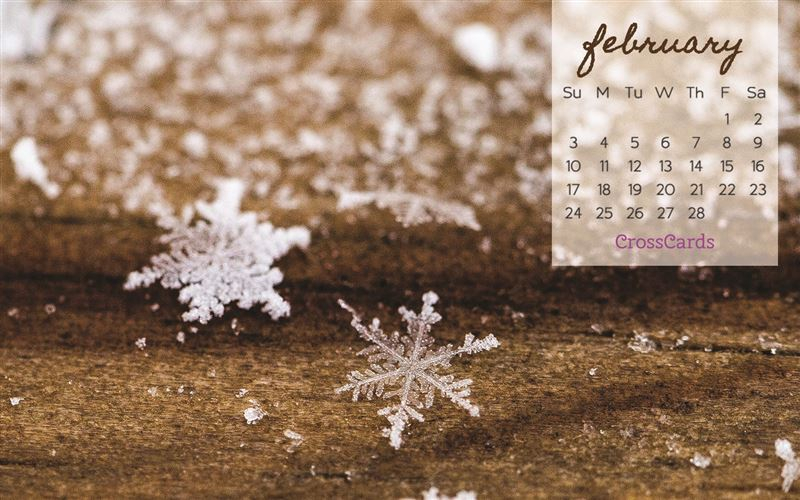 February 2019 Snowflake Desktop Calendar Free February Wallpaper