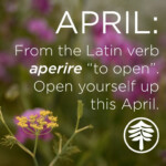 Hello April Quotes Inspirational April Quotes Hello April April