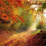 Indian Summer What Why And When The Old Farmer s Almanac