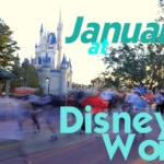 January 2019 Disney World Crowd Calendar
