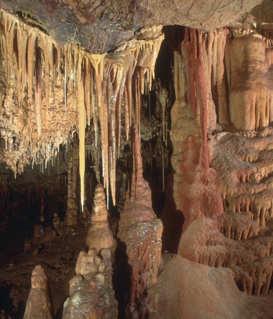 Kartchner Caverns State Park Tucson Attractions