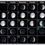 Moon Phases BAIT AND TACKLE PINE ISLAND
