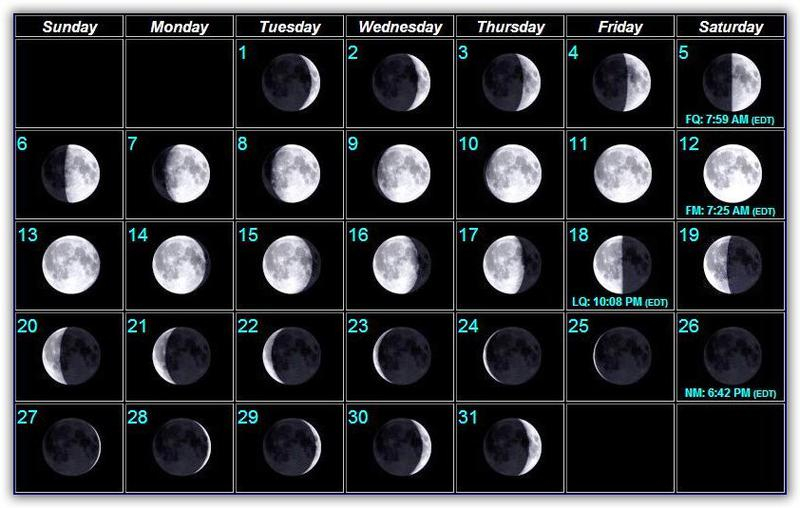 Moon Phases BAIT AND TACKLE PINE ISLAND