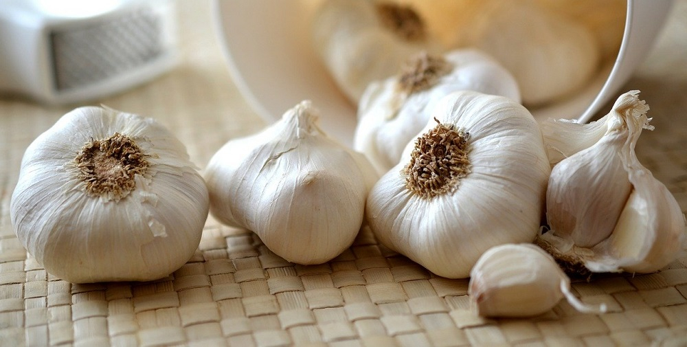 National Garlic Day In 2022 2023 When Where Why How Is Celebrated