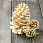 Pine Cone Craft Ideas Sugar Bee Crafts