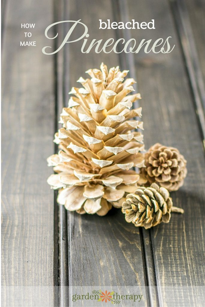 Pine Cone Craft Ideas Sugar Bee Crafts