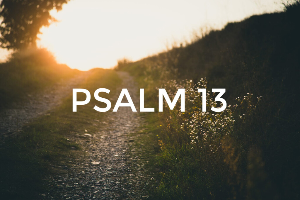 Psalm 13 First Presbyterian Church