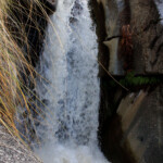 Secret Waterfall In Madera Canyon Here s How To Find It Outdoors And
