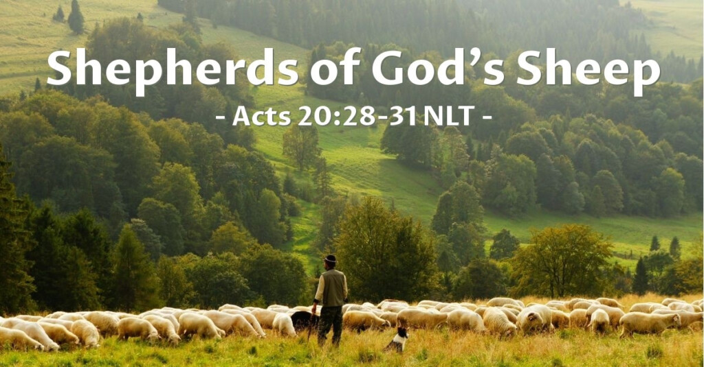  Shepherds Of God s Sheep Acts 20 28 31 Unstoppable 
