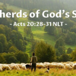 Shepherds Of God s Sheep Acts 20 28 31 Unstoppable