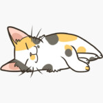 Sleeping Calico Sticker By Pawlove In 2020 Cat Graphic Art Cat