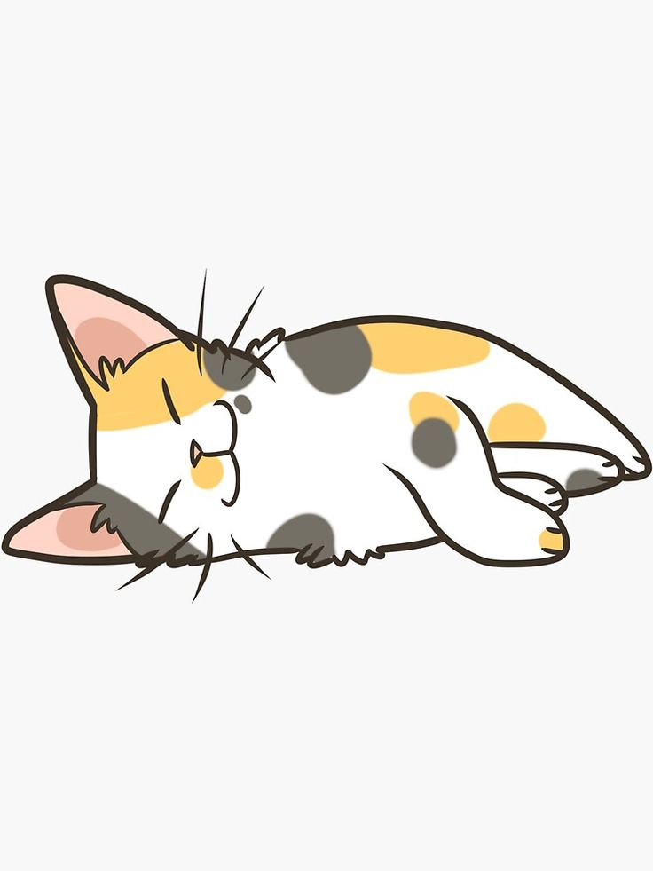  Sleeping Calico Sticker By Pawlove In 2020 Cat Graphic Art Cat 