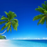 Summer Tropical Beach Paradise 2019 High Quality Preview 10wallpaper