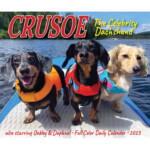 2023 Crusoe The Celebrity Dachshund Box Calendar In 2022 Crusoe The