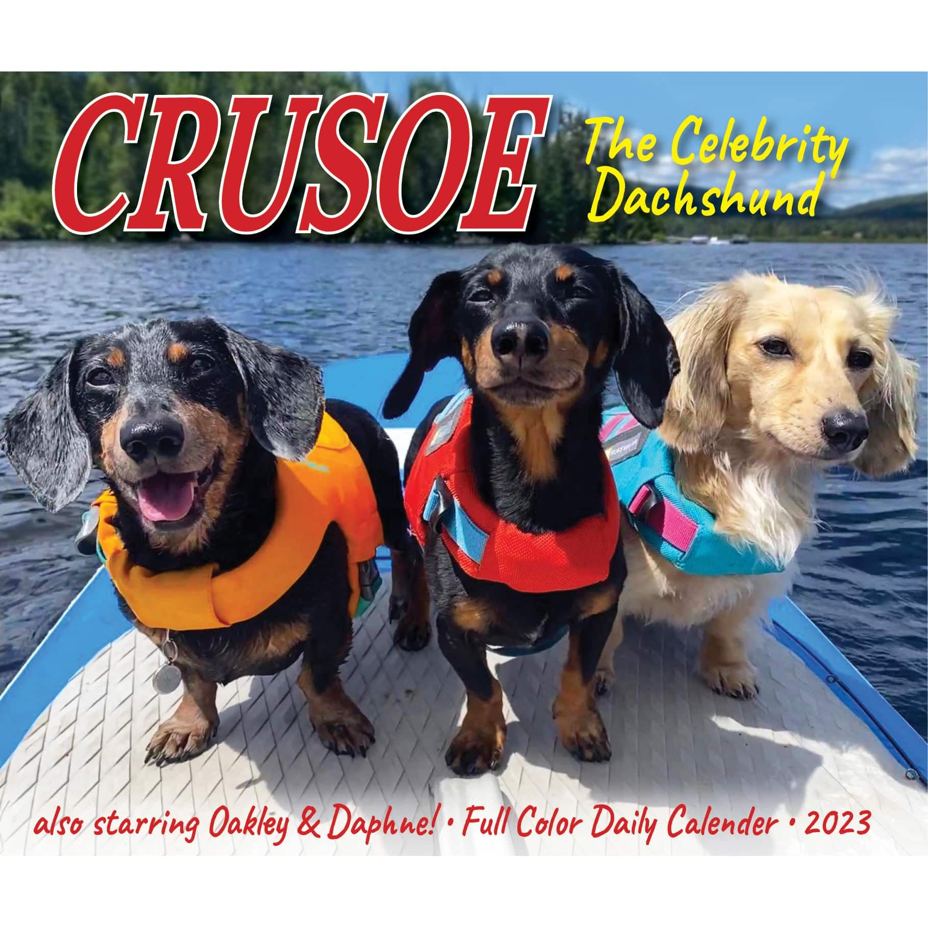 2023 Crusoe The Celebrity Dachshund Box Calendar In 2022 Crusoe The