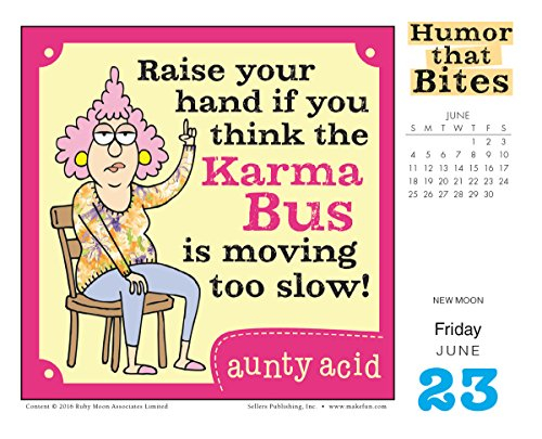 Aunty Acid Presents Humor That Bites 2017 Boxed Daily Calendar 