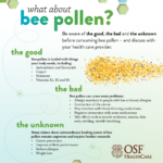 Bee Pollen Infographic OSF HealthCare Blog