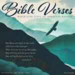 Bible Verses 2023 Wall Calendar Walmart