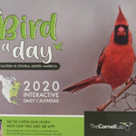 Bird A Day 2020 Interactive Daily Calendar Eastern Central North