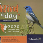 Bird A Day 2020 Interactive Daily Calendar Western North America