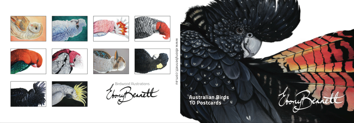Birds Of Australia Fine Art Calendar 2023 The Australian Made Campaign