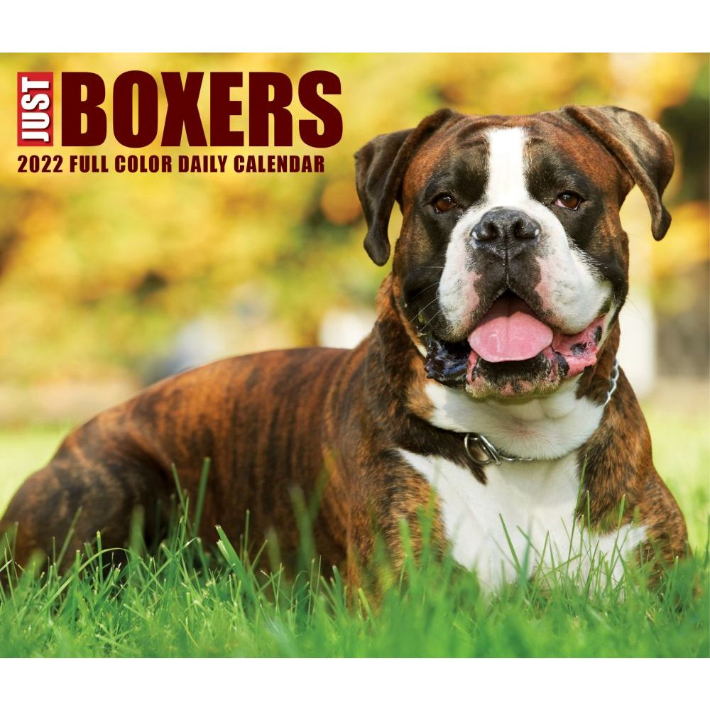 Boxers 2022 Calendar Dog Calendars Crusoe The Celebrity 