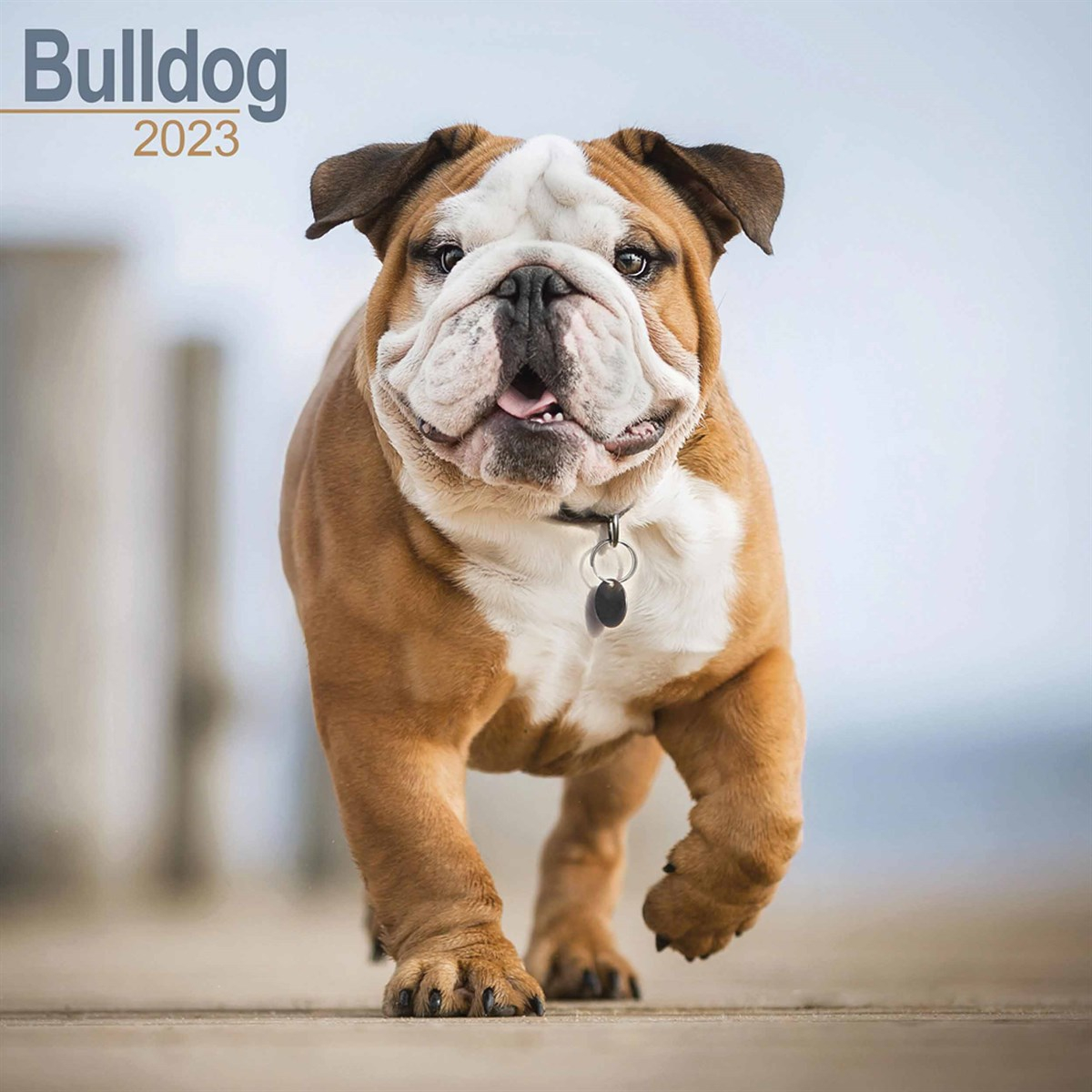 Bulldog Calendar 2023