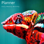Buy 2022 Chameleon Planner Daily Weekly Monthly Large Size Diary