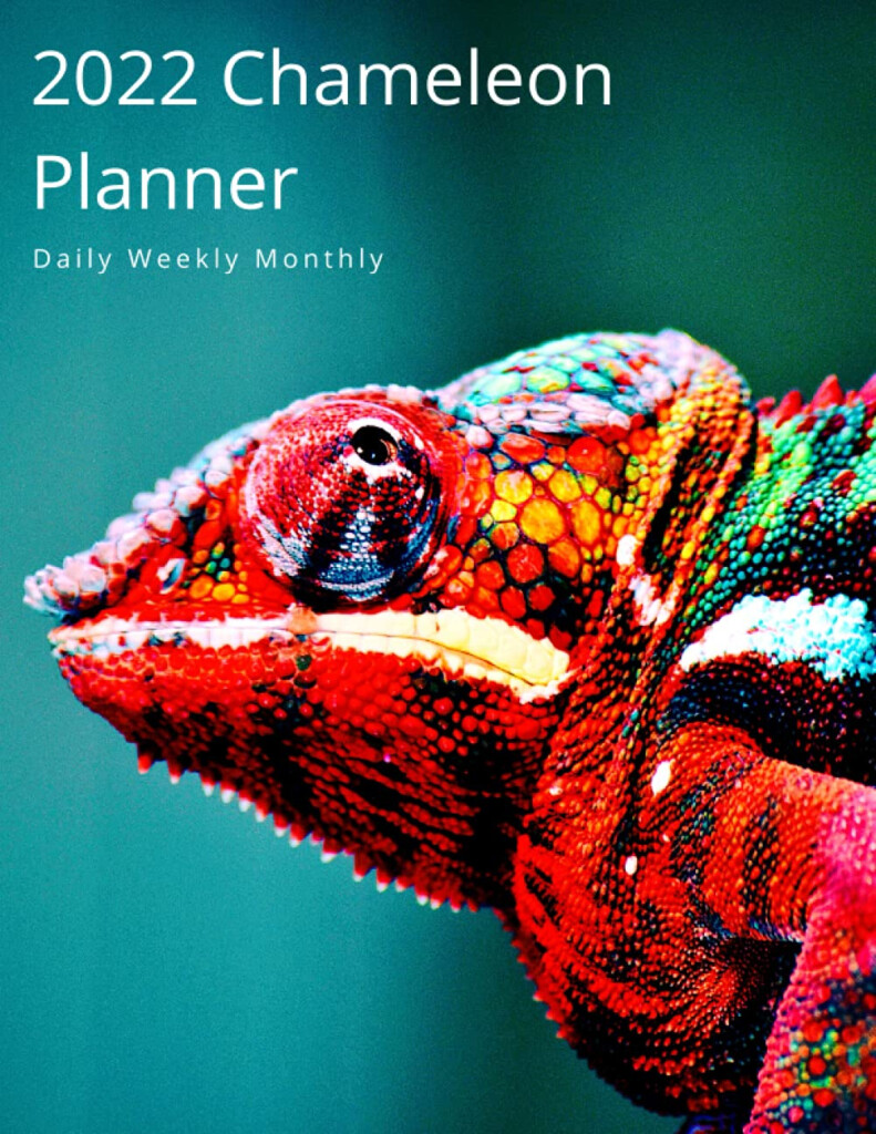 Buy 2022 Chameleon Planner Daily Weekly Monthly Large Size Diary 