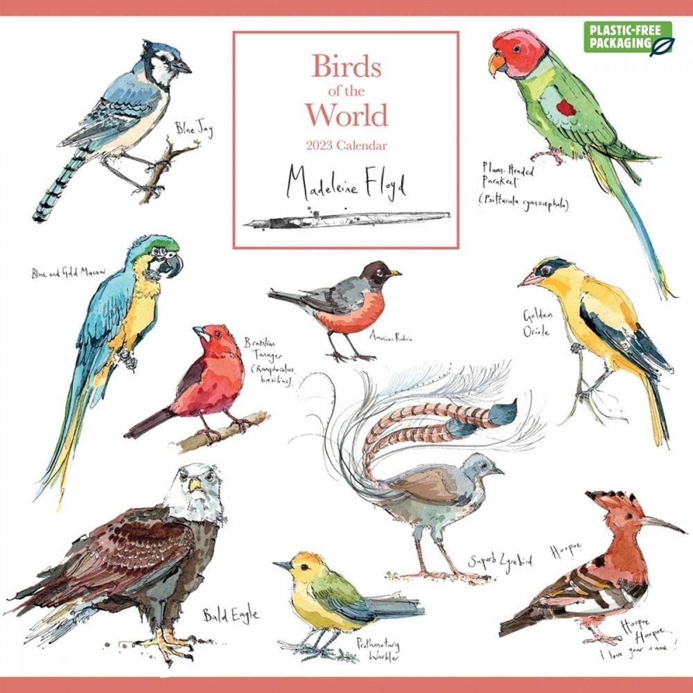 Carousel Calendars Madeleine Floyd Birds Of The World Calendar 2023