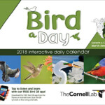 Download Ebook Bird A Day 2018 Daily Calendar Eastern Central North