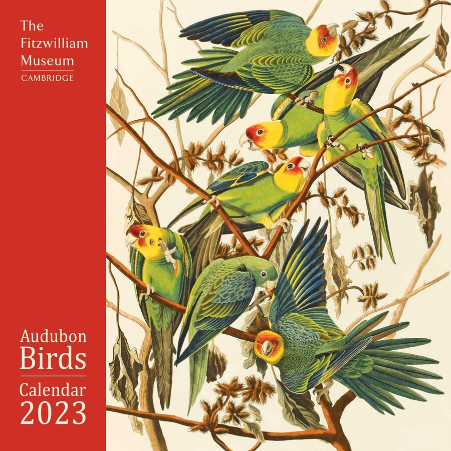 Fitzwilliam Museum Audubon Birds Wall Calendar 2023 Art Calendar 