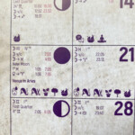 Full Astrology Calendar Cristmas Gift Lunar Calendar 2023 Astrology
