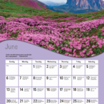 God s Wonderful World Devotional Calendar 2021 LifeSource Christian
