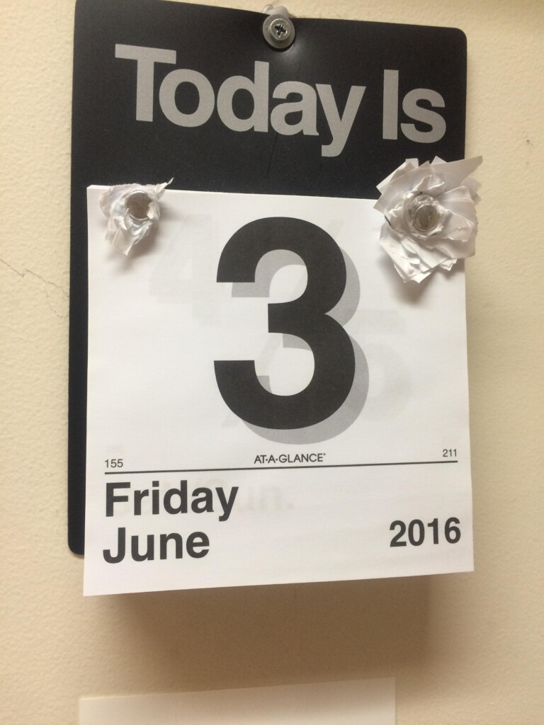 This Rip off Calendar Formed A Paper Rose Mildlyinteresting
